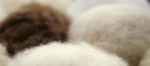 POPLUN HEFEL CASHMERE MERINO