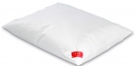 JASTUK HEFEL SOFTBAUSCH COMFOREL ZIP
