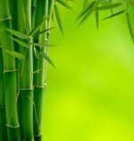 JASTUK HEFEL PURE BAMBOO