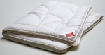 POPLUN HEFEL PURE BAMBOO